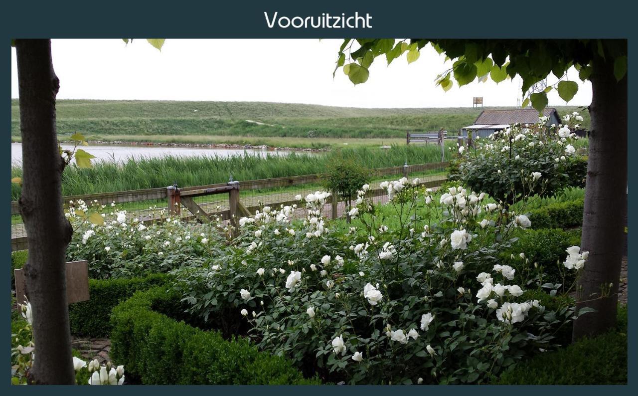 Vakantiewoning Deltahof Ellewoutsdijk Exterior photo