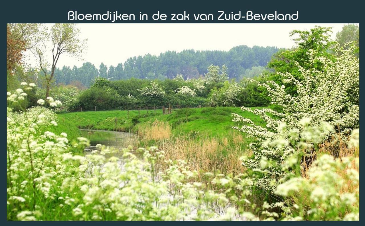 Vakantiewoning Deltahof Ellewoutsdijk Exterior photo