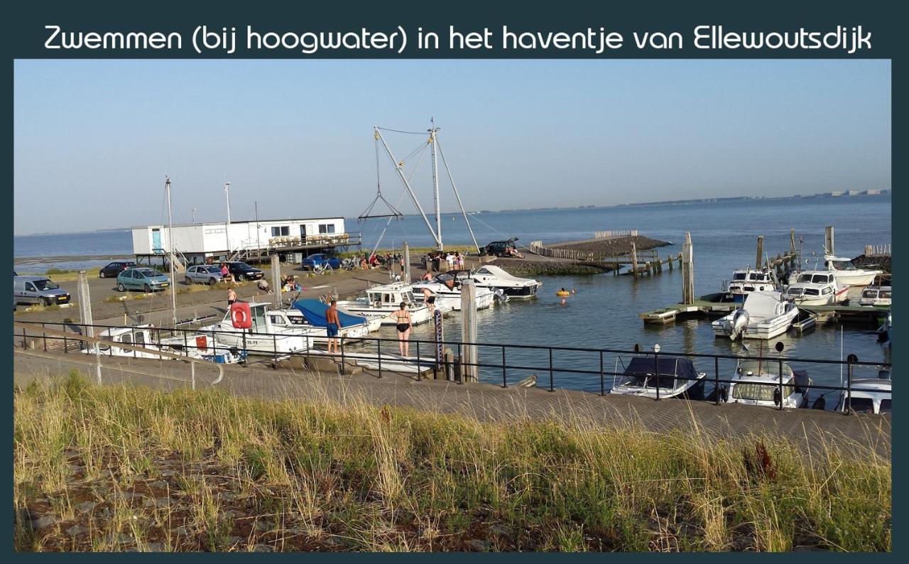 Vakantiewoning Deltahof Ellewoutsdijk Exterior photo
